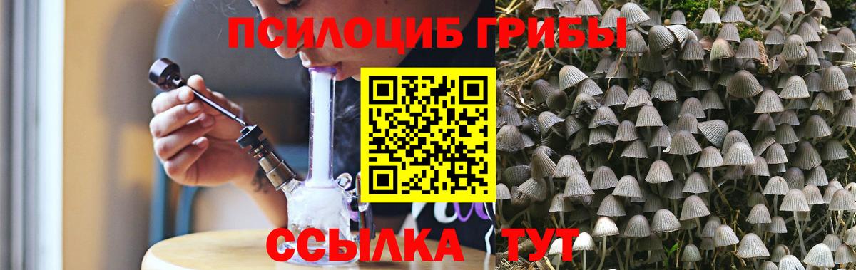 Галлюциногенные грибы Psilocybe  Вход с VPN  Углич  Галлюциногенные грибы Magic Shrooms 